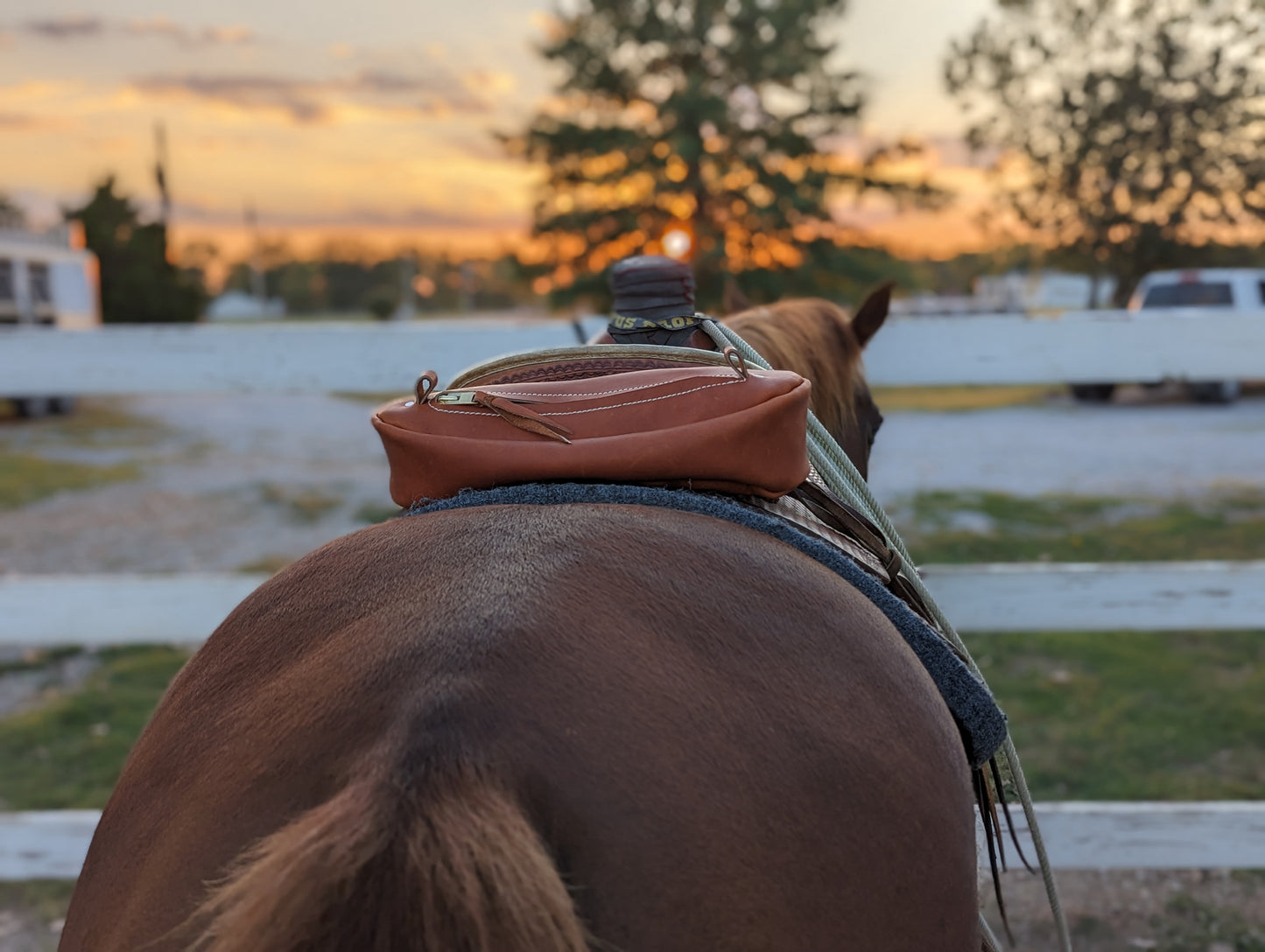 Cantle Bags